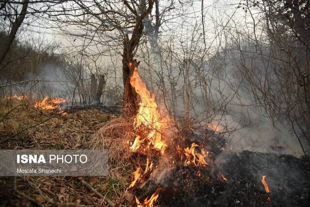 مدیرکل منابع طبیعی گیلان: آتش سوزی در جنگل های ماسال مهار شد