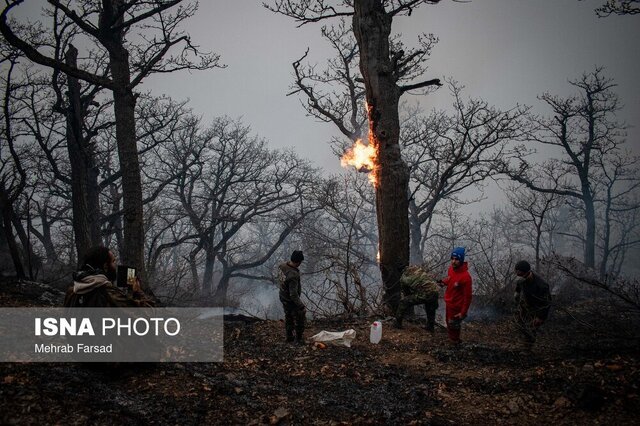 مهار آتشسوزی ۵ هکتاری در آستارا / آماده باش ۶۲۵ نیروی حفاظتی منابع طبیعی گیلان مهار آتشسوزی ۵ هکتاری در آستارا / آماده باش ۶۲۵ نیروی حفاظتی منابع طبیعی گیلان