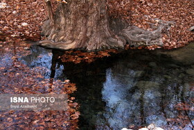 پایان هفته بارانی در انتظار گیلان