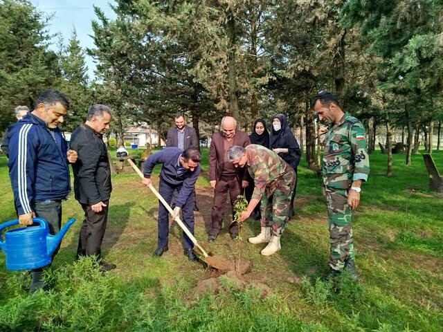 کاشت نهال گونههای جنگلی در بندرانزلی