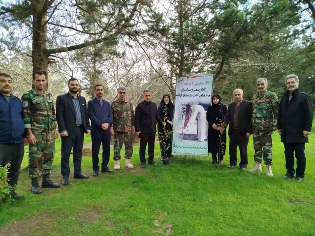 کاشت نهال گونه‌های جنگلی در بندرانزلی