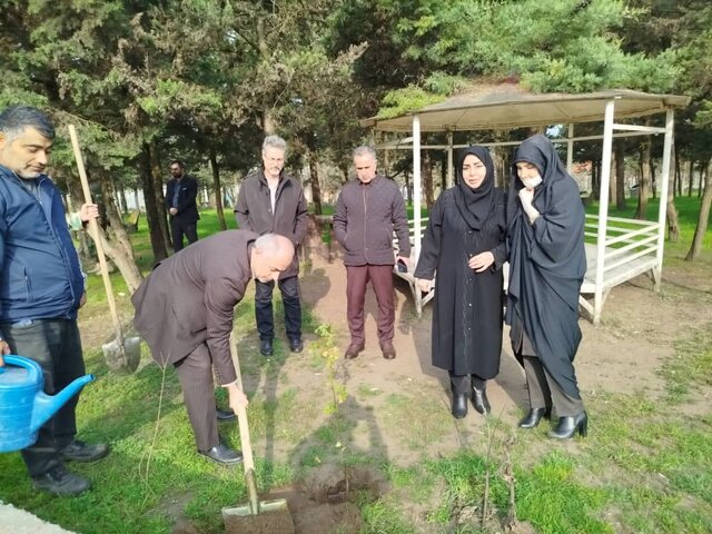 کاشت نهال گونه‌های جنگلی در بندرانزلی