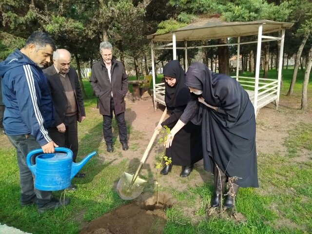 کاشت نهال گونه‌های جنگلی در بندرانزلی