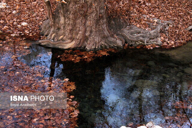پایان هفته بارانی در انتظار گیلان