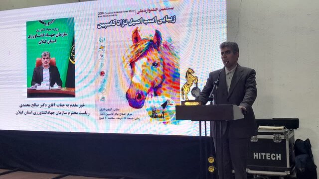 جشنواره ملی اسب اصیل کاسپین در بندرانزلی برگزار شد