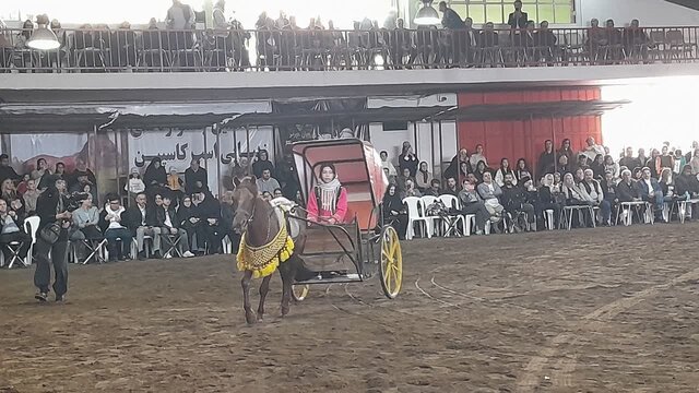 جشنواره ملی اسب اصیل کاسپین در بندرانزلی برگزار شد