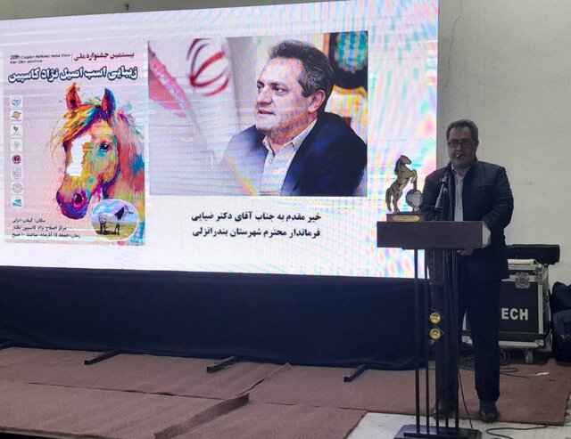 جشنواره ملی اسب اصیل کاسپین در بندرانزلی برگزار شد