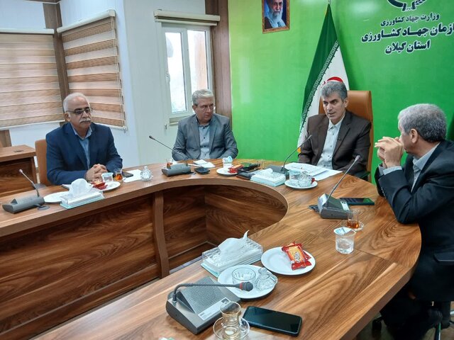 دوبرابر شدن سطح زیر کشت گیاهان دارویی در گیلان / گونه هایی سازگار با کم آبی