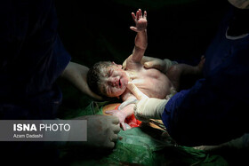 مسئول طرح نفس گیلان: با نجات ۳۰ درصد فرزندان سقط از سقوط جمعیت جلوگیری می کنیم