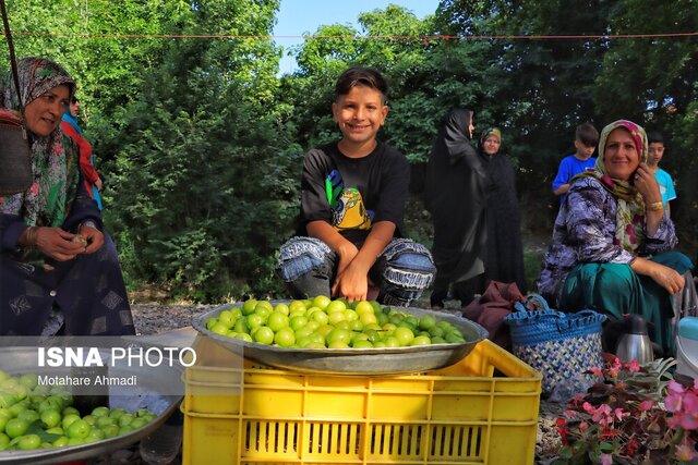 نگاهی به پتانسیلهای گردشگری خوراک در صومعهسرا