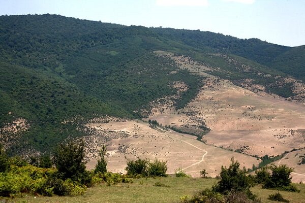 نیاز به مدیریت نوین و کشاورزی آگاهانه برای حفاظت از خاک / حفظ تعادل اکولوژیکی با درختکاری