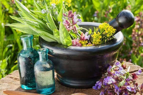 تولید اسانس از گیاهان دارویی یکی از اولویت های اقتصاد کشور است