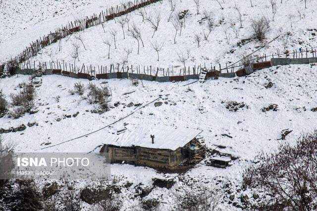 هوای گیلان تا ۱۲ درجه سرد می شود