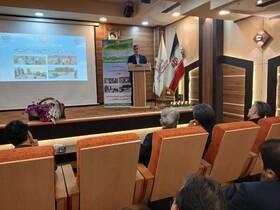 رئیس جهاد کشاورزی گیلان: اقتصادی‌شدن کشاورزی مانع تغییر کاربری اراضی است