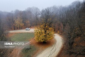 پایداری هوای گیلان تا سه شنبه