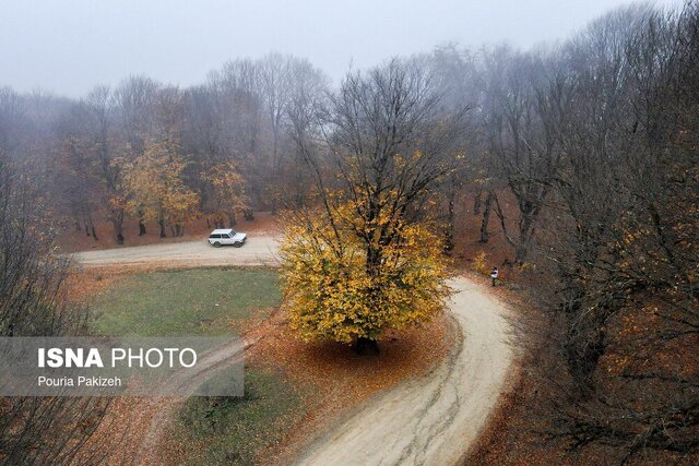 پایداری هوای گیلان تا سه شنبه