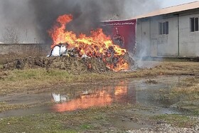 امحای بیش از یک تن انواع مواد مخدر و روانگردان در گیلان 