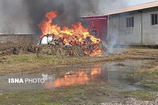 امحای بیش از یک تن انواع مواد مخدر و روانگردان در گیلان 