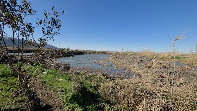 فرماندار: آستانه اشرفیه ۲۱۳۳ هکتار آب بندان دارد
