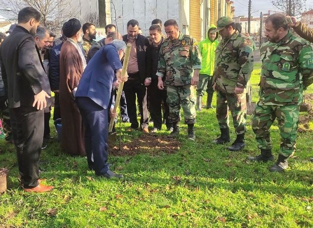 کاشت ۱۷ میلیون اصله نهال در گیلان
