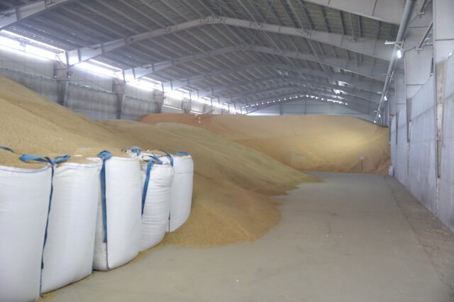 واردات بالغ بر ۸۴۰ هزار تن نهاده دامی از بنادر کاسپین و انزلی