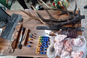 کشف لاشه مرال و سلاح غیرمجاز در رودبار