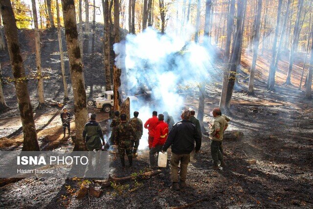 مدیرکل منابع طبیعی استان خبر داد: مهار ۲ هکتار آتش‌سوزی در جنگل های گیلان