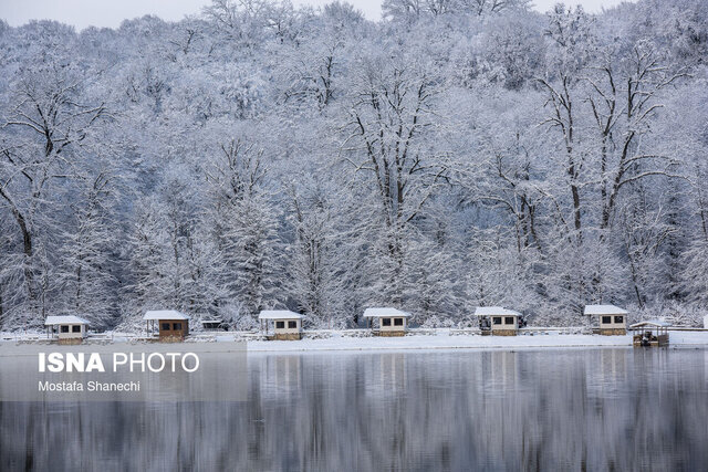 برف و کولاک؛ مهمان آخر هفته گیلان
