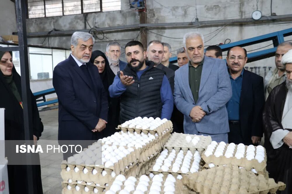 افتتاح ۲۹ پروژه و اولین واحد بستهبندی مکانیزه تخممرغ گیلان در کوچصفهان افتتاح ۲۹ پروژه و اولین واحد بستهبندی مکانیزه تخممرغ گیلان در کوچصفهان