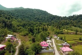 آمادگی شهرداری برای سرمایه گذاری ۴۰۰ میلیاردی در پارک جنگلی شاندرمن