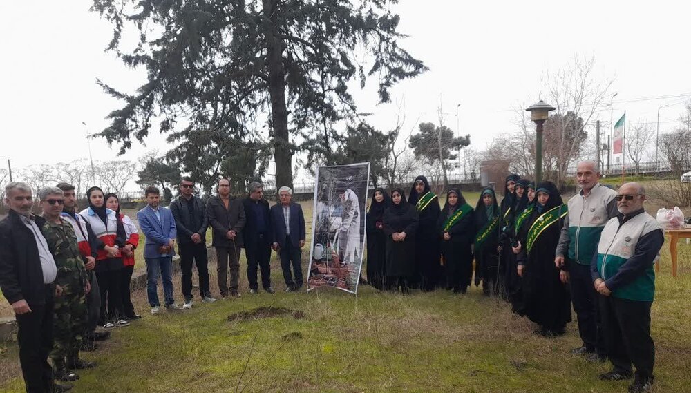 کاشت نهال گونههای جنگلی در بندرانزلی کاشت نهال گونههای جنگلی در بندرانزلی