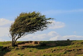افزایش ۸ تا ۱۵ درجه ای دما در گیلان با وزش باد گرم شدید