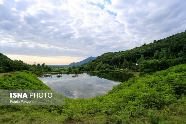 فرصت ذخیره سازی آب سبز با لایروبی ۲۵۰ هکتار از آب بندان های گیلان