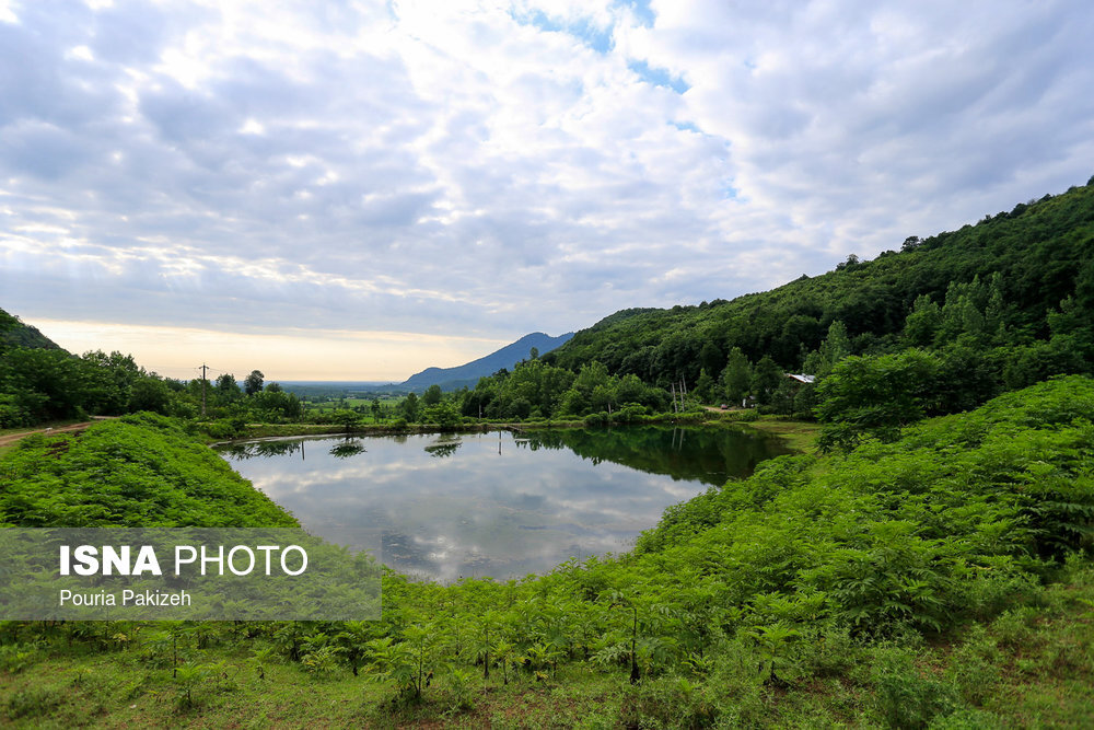 فرصت ذخیره سازی آب سبز با لایروبی ۲۵۰ هکتار از آب بندان های گیلان فرصت ذخیره سازی آب سبز با لایروبی ۲۵۰ هکتار از آب بندان های گیلان