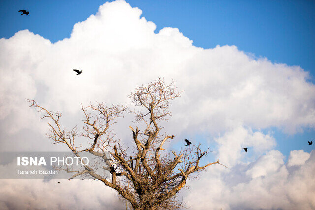 افزایش محسوس دما در گیلان تا ظهر پنجشنبه