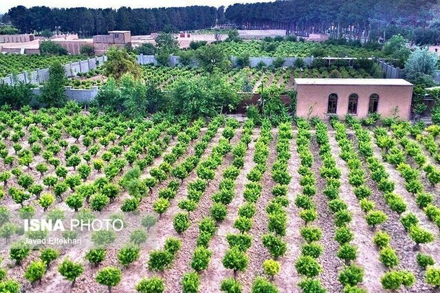 توزیع بیش از ۲۸ هزار تن کود کشاورزی در گیلان