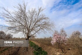 پایداری هوای گیلان تا پس فردا
