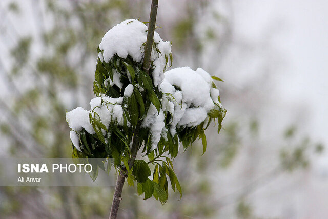 آغاز بارش برف و باران در گیلان از فردا