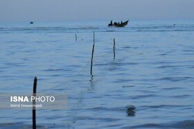 برخورد با صید غیرمجاز در گیلان/ توقیف ۱۳ فروند شناور غیرمجاز