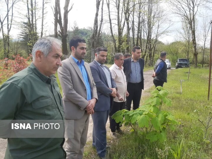 رونق نهالستان استیل آستارا؛ گامی بلند برای حفظ جنگلهای هیرکانی