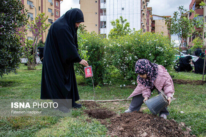 پویش «سرو ایران» همزمان با روز ارتش در گیلان برگزار شد