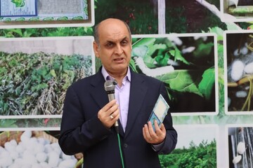 استاندار تاکید کرد: لزوم توسعه توتستان ها و به روزرسانی صنایع تبدیلی ابریشم در گیلان