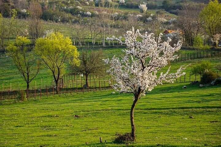 تداوم پایداری هوای گیلان تا پایان هفته