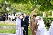 پرداخت تسهیلات قرض الحسنه به زوج های دانشجو