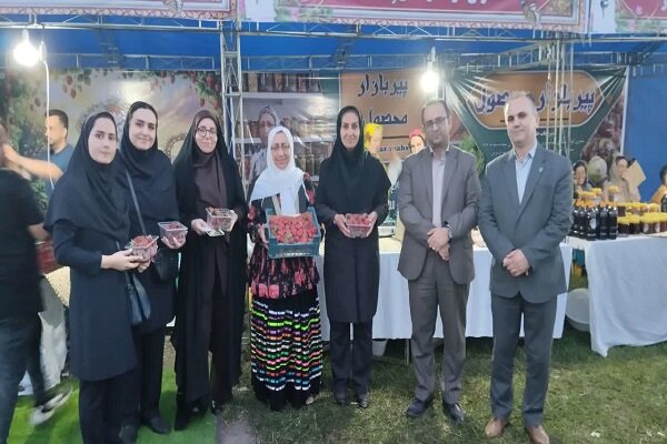 جشنواره فرهنگی توت فرنگی در پیربازار برگزار شد