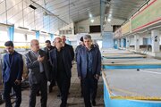 استاندار گیلان: ذخایر ارزشمند دریای خزر به تقویت مراکز تکثیر وابسته است