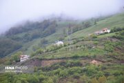 شناسایی ۱۱۰۰ مورد تغییر کاربری غیرمجاز اراضی کشاورزی در گیلان