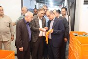 تأکید استاندار گیلان بر توسعه صنعتی با تکیه بر توان مهندسی بومی