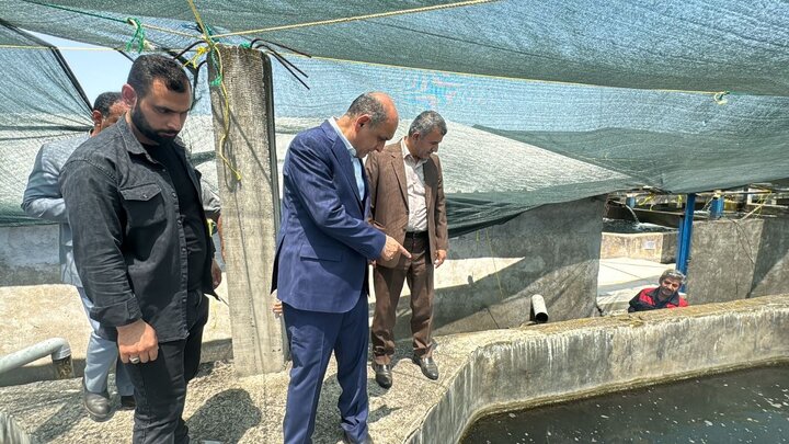 استاندار گیلان: ساماندهی سایت دفن پسماند تالش تا رفع کامل نواقص ادامه دارد