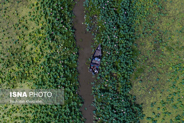 احیای تالاب انزلی با اولویت طرح های هیدرودینامیک